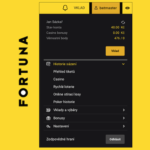 Depósitos en Fortuna