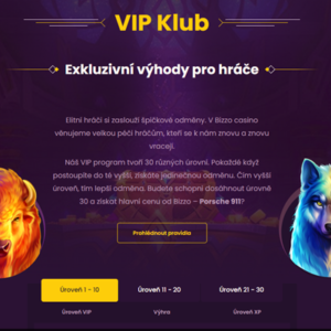 Bizzo Casino – Programa VIP