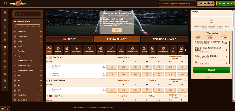 Casa de apuestas WildRobin