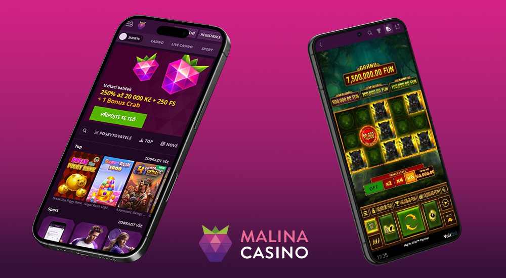 Vista previa de la interfaz adaptable del sitio del casino online y la casa de apuestas Malina Casino