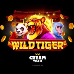 Onlyspins casino