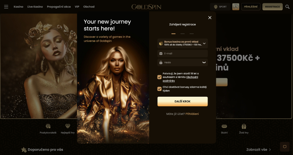 Registro en GoldSpin, vista previa inicial